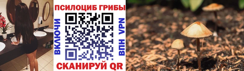 Галлюциногенные грибы прущие грибы  как найти закладки  Брянск 